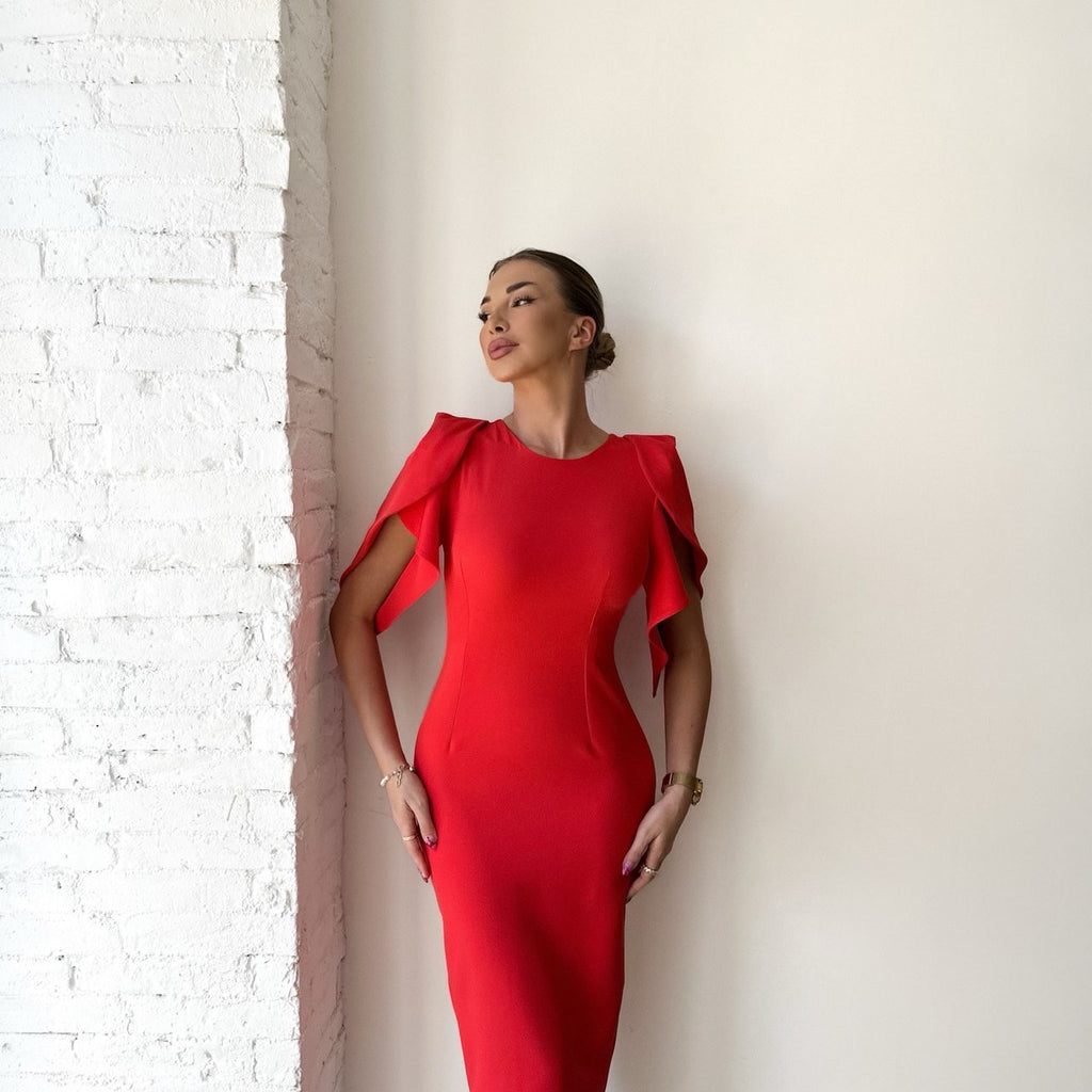 woman in elegant red dress woman in elegant red dress