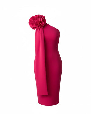 RUZHA MIDI dress