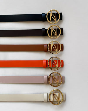 colorful belts with gold buckle on white background