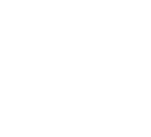 Nia Nave logo