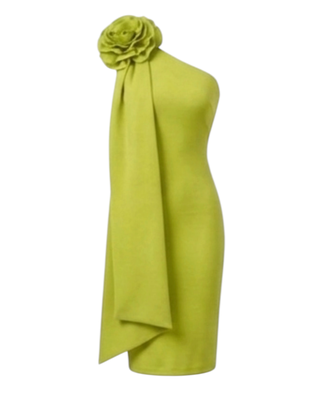 RUZHA MIDI dress**PRE ORDER**